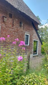 Slapen in oude stal voormalige drentse stal